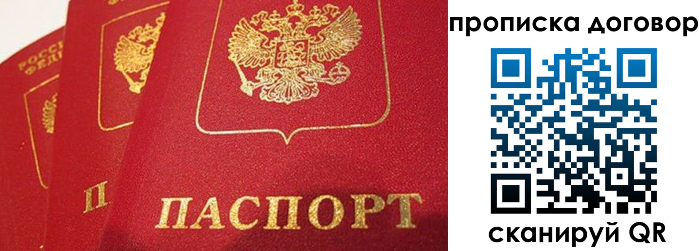 найти адрес прописки в Знаменске